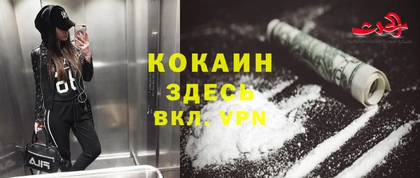 твердый Алексеевка