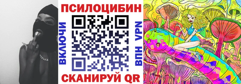 наркотики  Салават  Галлюциногенные грибы GOLDEN TEACHER 