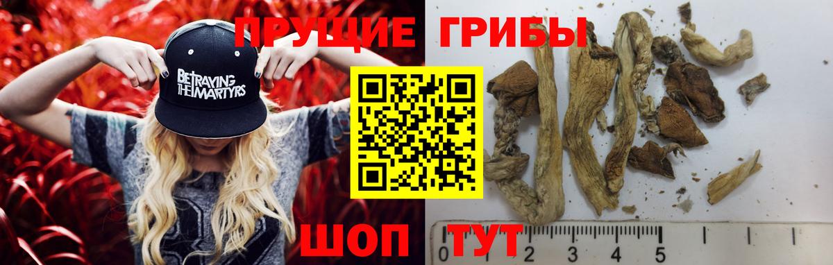 Псилоцибиновые грибы ЛСД Салават